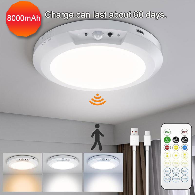 Rechargeable Ceiling Light With Remote