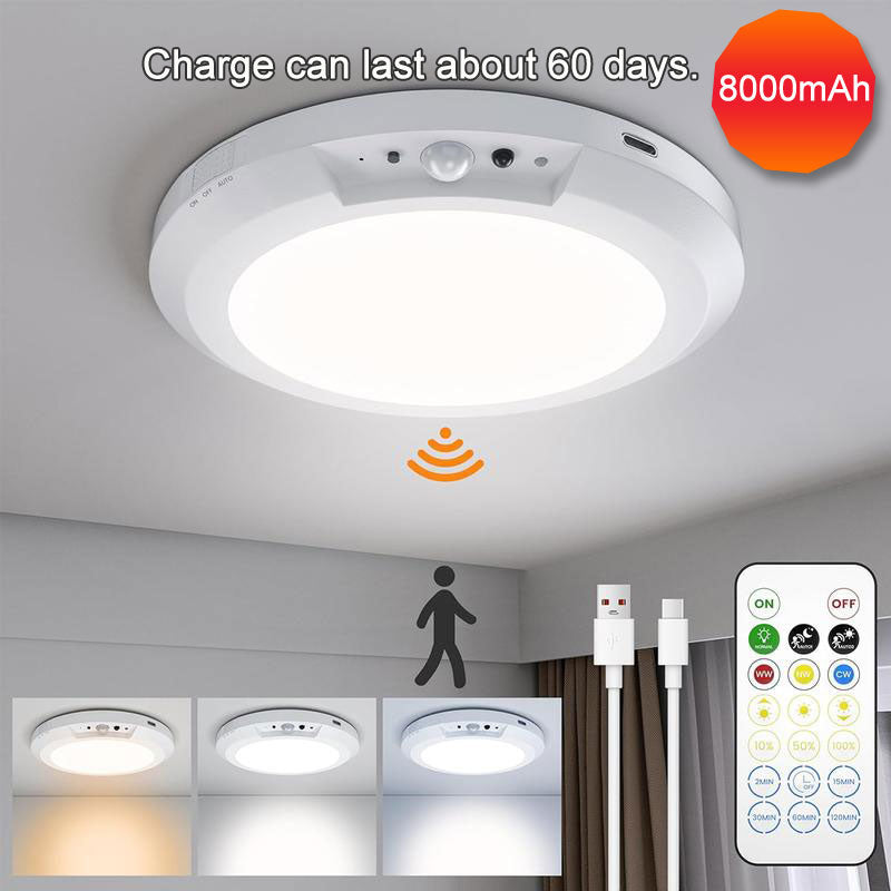 Rechargeable Ceiling Light With Remote